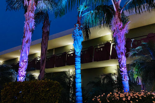 Exterior Mood Lighting